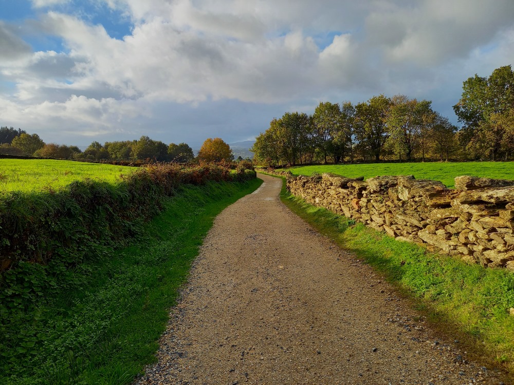 Hiekkatie vehreällä Galician itsehallintoalueella Espanjassa, Camino de Santiago pyhiinvaellusreitillä.