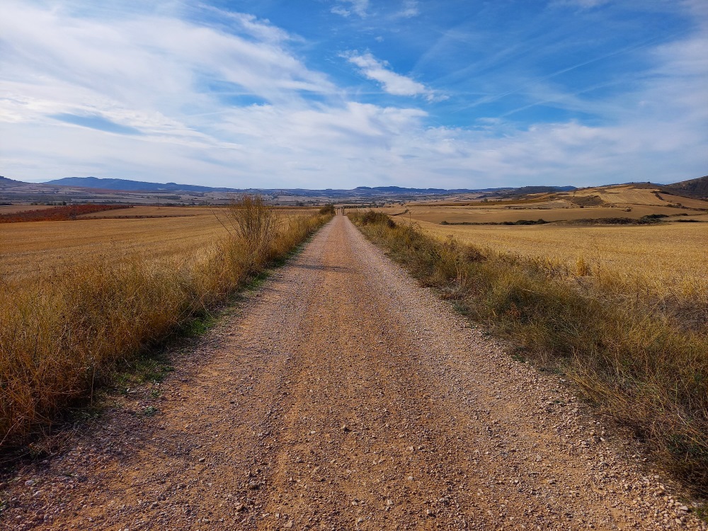 Camino Portugues reitti, joka kulkee hiekkatietä sänkipeltojen välissä maaseudulla.